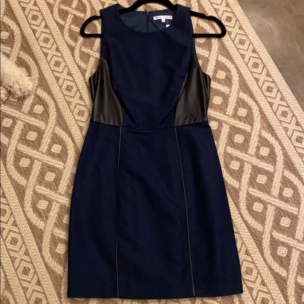 Anna Griffin Blue & Black Dress
